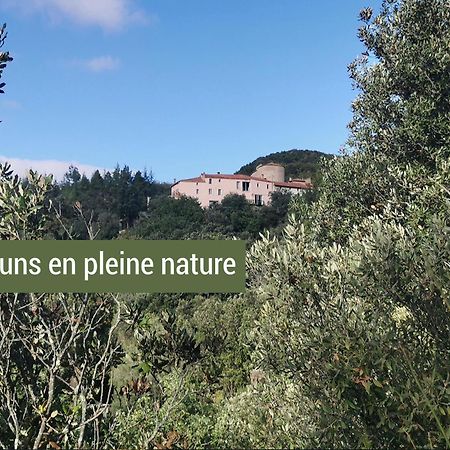 Pyrenees Mon Amour Felluns المظهر الخارجي الصورة