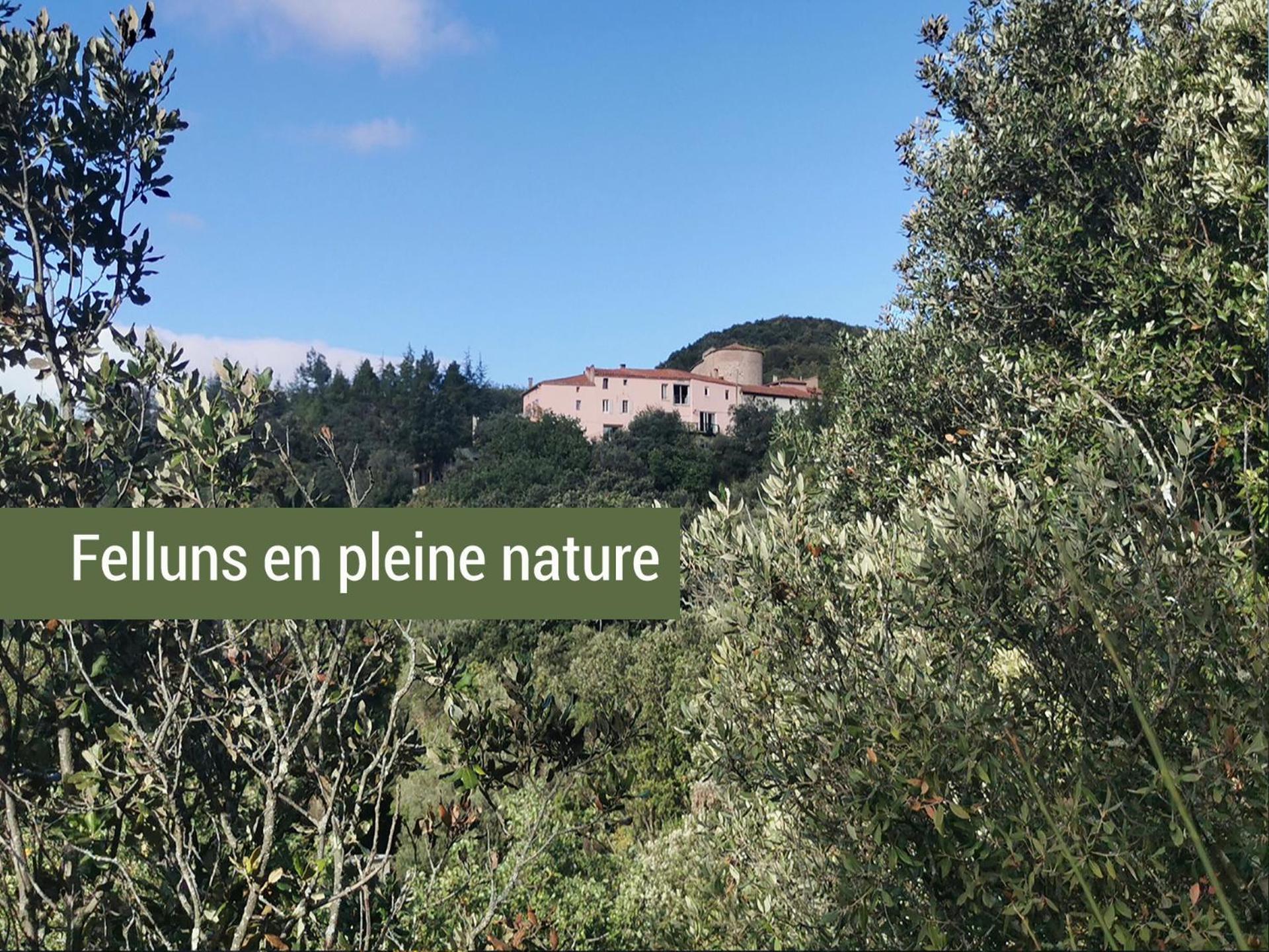 Pyrenees Mon Amour Felluns المظهر الخارجي الصورة