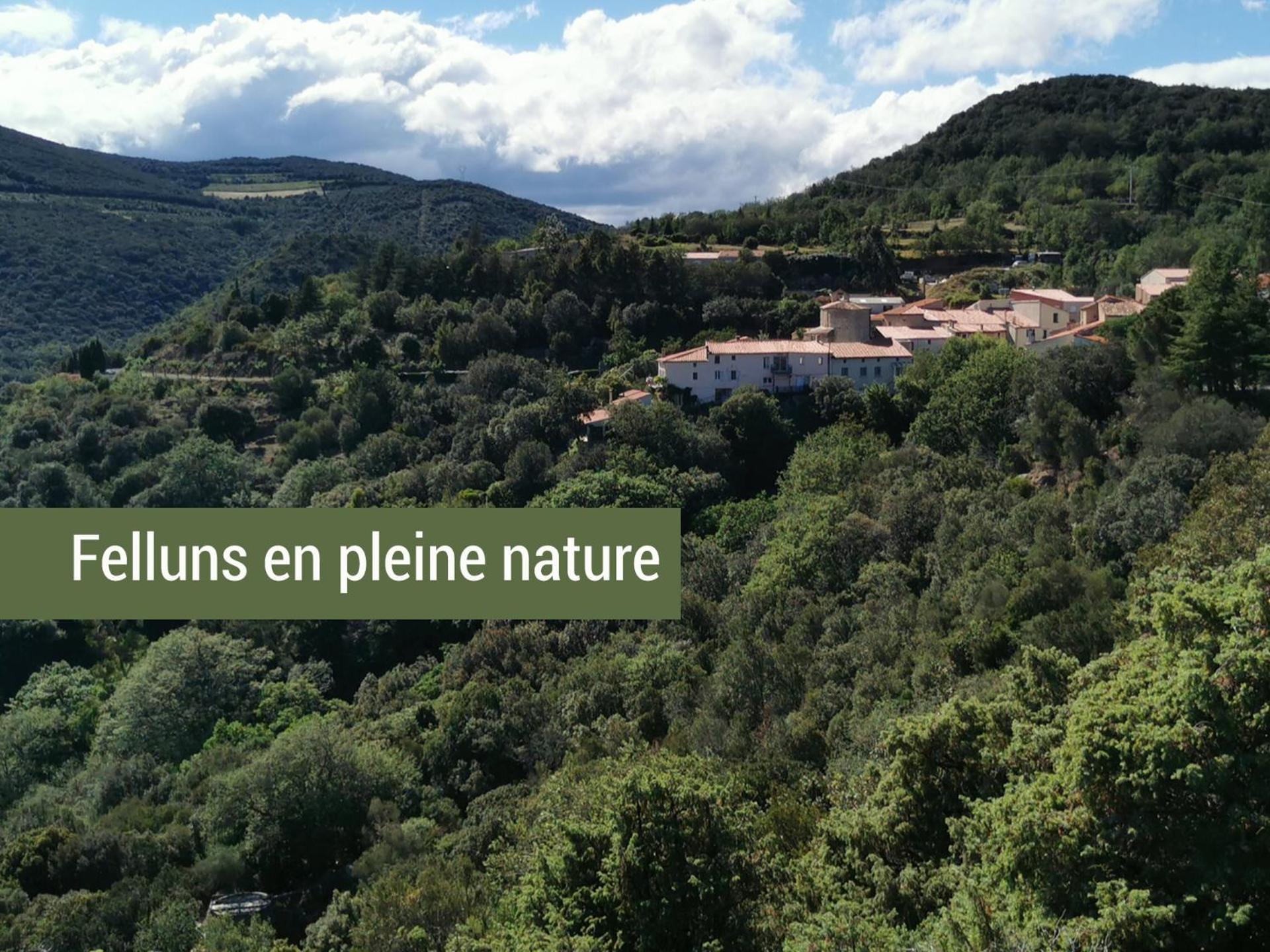 Pyrenees Mon Amour Felluns المظهر الخارجي الصورة